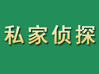 阜城市私家正规侦探